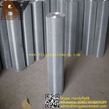 Hot-Dipped Galvanized Welded Wire Mesh Roll